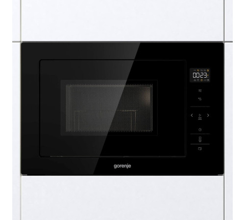 Gorenje BM251SG2BG