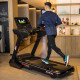 Бігова доріжка електрична BH Fitness RS900 TFT