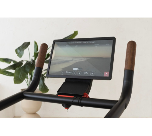 Бігова доріжка електрична NOHRD Citius Club Treadmill