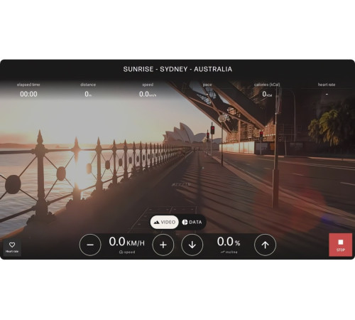 Бігова доріжка NOHRD Citius Cherry Treadmill