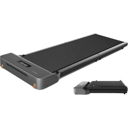 Бігова доріжка для ходьби King Smith Fitness Walkingpad Z1