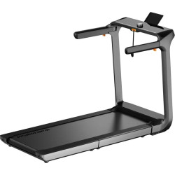 Бігова доріжка електрична King Smith Walkingpad X218