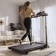 Бігова доріжка електрична Hop-Sport HS-1900LB Standy