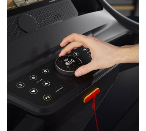 Бігова доріжка електрична Trex Sport TX-1200TM ROOK