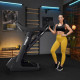 Бігова доріжка електрична Trex Sport TX-1200TM ROOK
