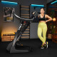 Бігова доріжка електрична Trex Sport TX-900TM TECK