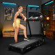 Бігова доріжка електрична Trex Sport TX-900TM TECK