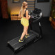 Бігова доріжка електрична Trex Sport TX-900TM TECK