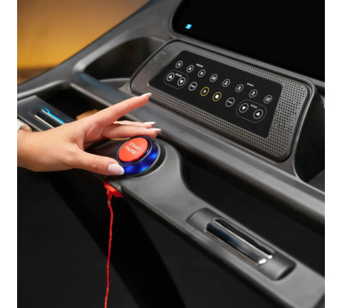 Бігова доріжка електрична Trex Sport TX-900TM TECK