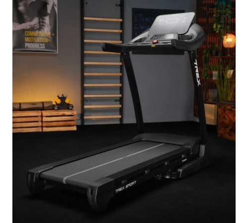 Бігова доріжка електрична Trex Sport TX-900TM TECK