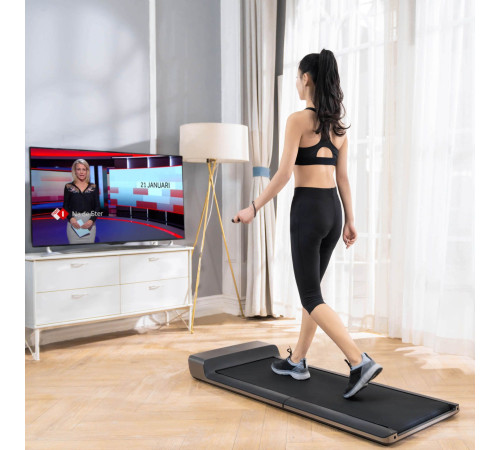 Бігова доріжка Flow Fitness DTM100i Бігова доріжка Flow Fitness DTM100i