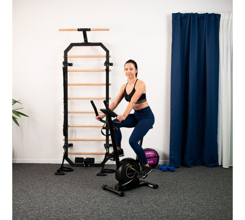 Велотренажер магнітний HMS M8750 чорний