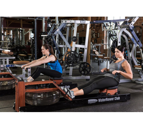 WaterRower Club Performance Rowing Machine SR Ash