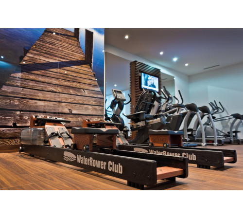 WaterRower Club Performance Rowing Machine SR Ash