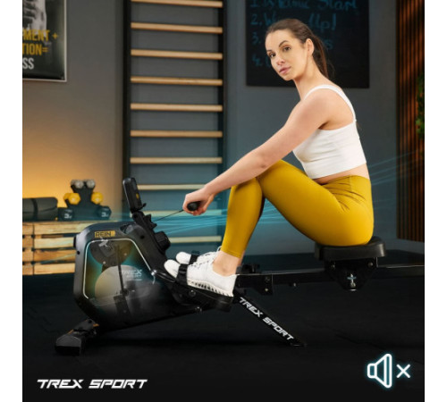 Веслувальний тренажер Trex Sport TX-580RM Rein чорний