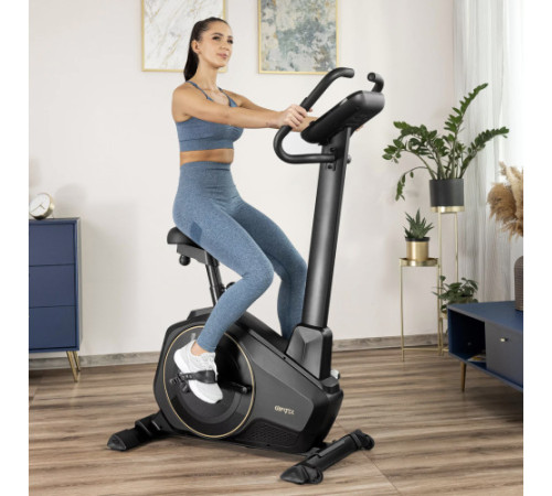Велотренажер електромагнітний Gymtek XB6000, чорно-золотистий