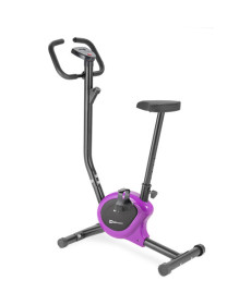 Велотренажер механічний Hop-Sport HS-010H Rio фіолетовий
