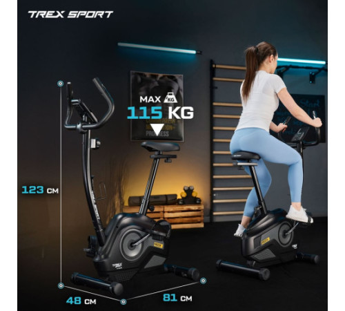 Велотренажер магнітний Trex Sport TX-400MB RECK сірий