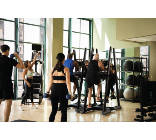 Вертикальний тренажер CLMBR Pure