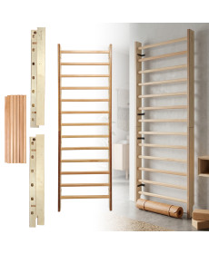 Шведська стінка inSPORTline Dualmar 220 x 65 см