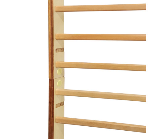 Шведська стінка inSPORTline Dualmar 220 x 65 см