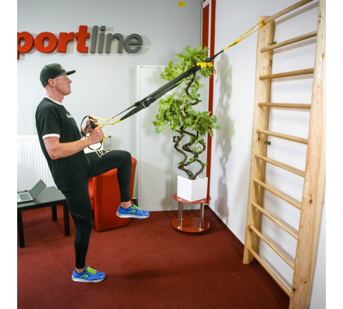 Шведська стінка inSPORTline Steadyline 250 x 90 см Шведська стінка inSPORTline Steadyline 250 x 90 см