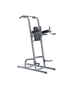 Поручні для підтягувань Power Tower BODY-SOLID GKR82