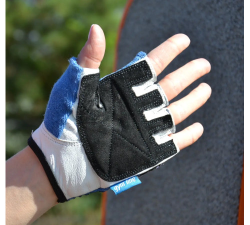 Рукавички для фітнесу Power System PS-2200 Workout L, сині