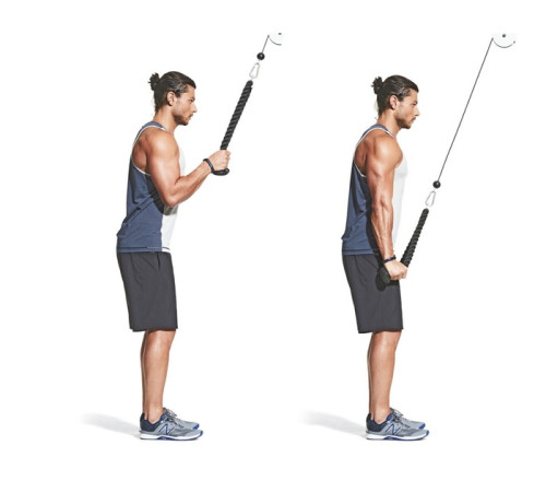 Канат для тяги York Fitness подвійний хват на трицепс