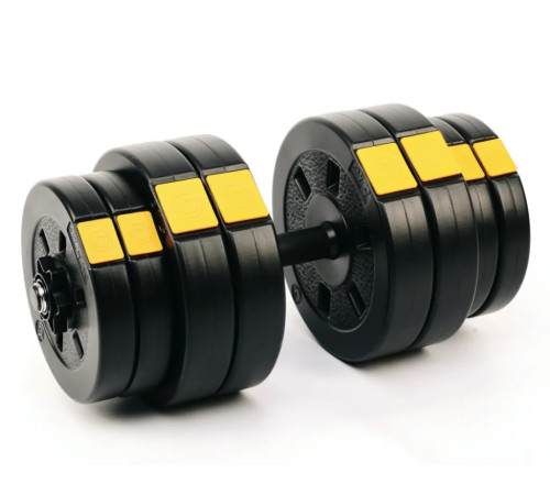 Набір лави регульованої Besport WB-002 з гантелями PowerPro 2 х 31 кг