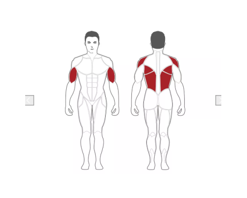 Тренажер Seated Pull Down/Rowing Machine Steelflex PlateLoad Line PLSR чорно-червоний