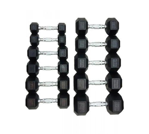 Гантель шестигранна HouseFit DD 6442-1, 1 кг