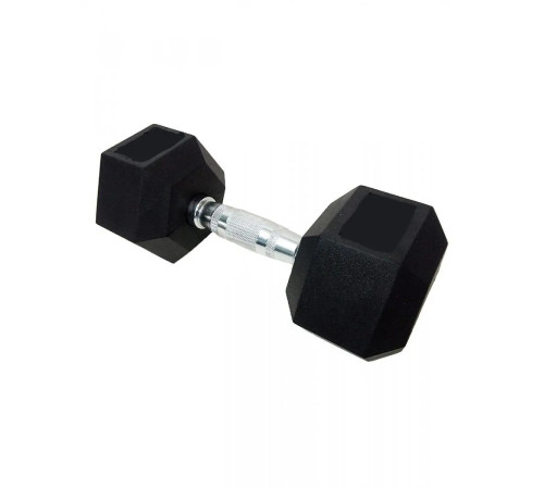 Гантель шестигранна HouseFit DD 6442-1, 1 кг