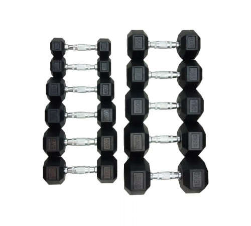 Гантель шестигранна HouseFit DD 6442-2, 2 кг