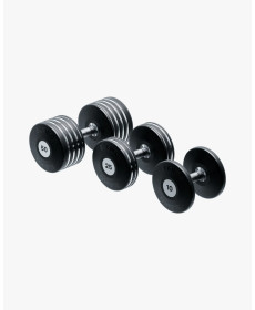 Гантель Eleiko Plate з обертовою ручкою, 10 кг