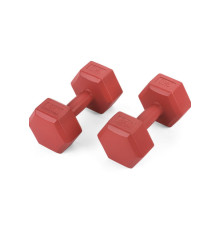 Набір гантелей композитних Gymtek 2х3 кг червоний