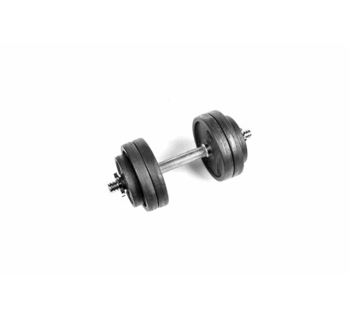 Гантель розбірна металева RN-Sport RN_QTR13, 13,5 кг
