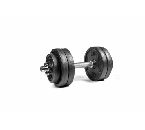 Гантель розбірна металева RN-Sport RN_QTR13, 13,5 кг