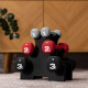 Стійка з гантелями Hop-Sport HS-V122DRS 12 кг