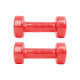 Гантелі вінілові inSPORTline Smoothbell 2 x 1,5 кг