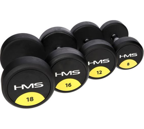 Гантель прогумована HMS ‎‎HG PRO 37,5 кг