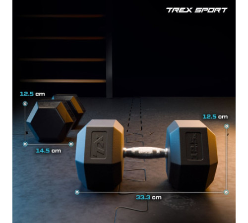 Гантеля шестигранна Trex Sport TX-125RD 12,5 кг