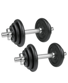 Чавунні гантелі Spokey Egir 2 x 10 кг