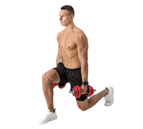 Гантелі розбірні HMS SGGX20 з перехідником для штанги, 20 кг