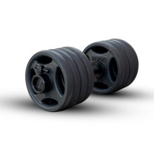 Гантель розбірна чавунна RN-Sport 46 кг