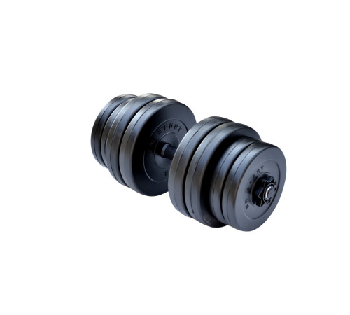 Гантель розбірна RN-Sport StrongMan 31 кг з розширювачем грифа