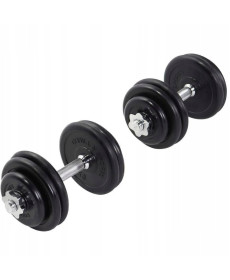 Гантелі розбірні Gorilla Sports 2 x 15 кг