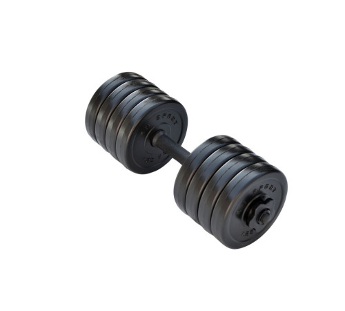 Гантель розбірна RN-Sport Long 10 кг