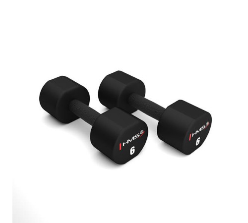 Гантелі HMS HPT06 2 х 6 кг