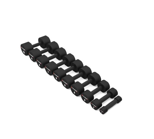 Гантелі HMS HPT06 2 х 6 кг